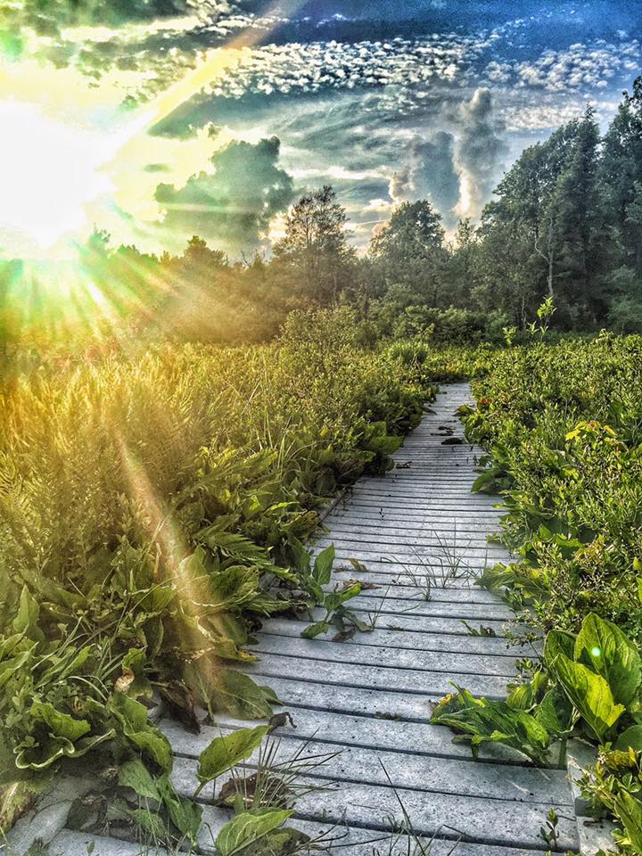 Vacation Rental Photo