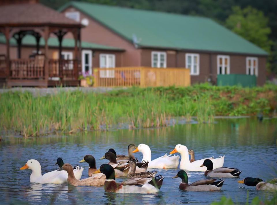 Vacation Rental Photo