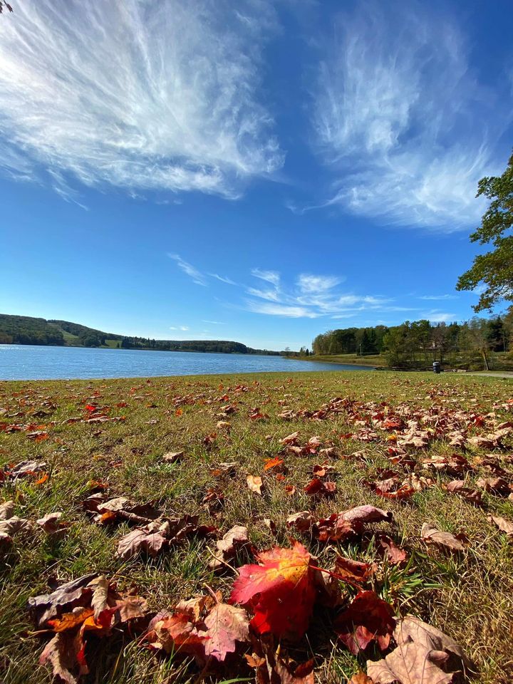 Vacation Rental Photo