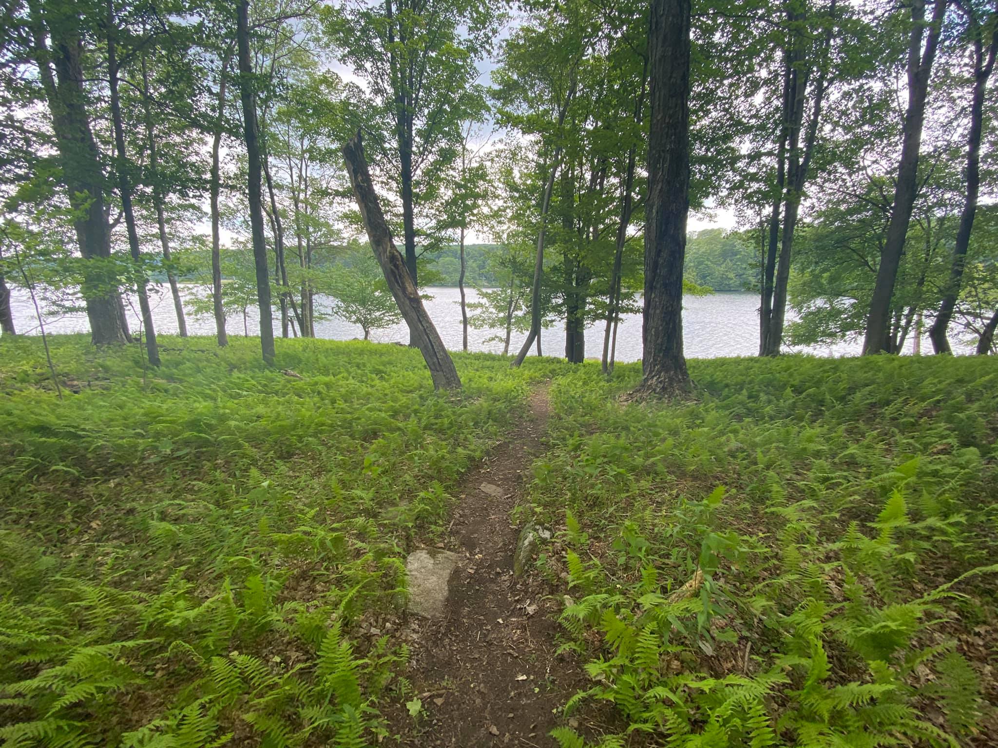 Vacation Rental Photo