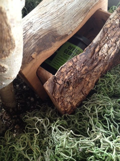 Vacation Rental Photo